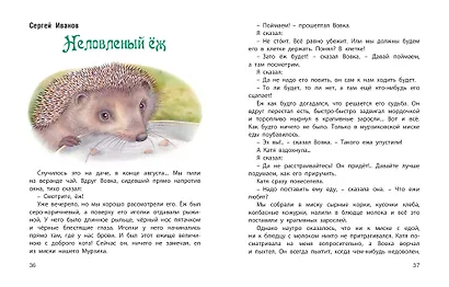 Колючая семейка: Рассказы русских писателей - фото 3