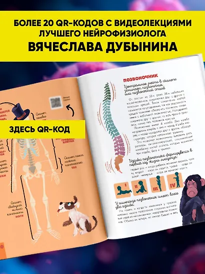Человек. Исследуем тело и мозг человека - фото 5