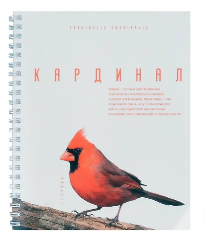 Тетрадь в клетку Listoff, "Красивые птицы", 96 листов, в ассортименте - фото 3