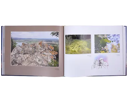 Мир глазами детей, фотоальбом - фото 3