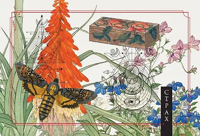 Зеленая лесная Магия. Witch Oracle Cards - фото 5