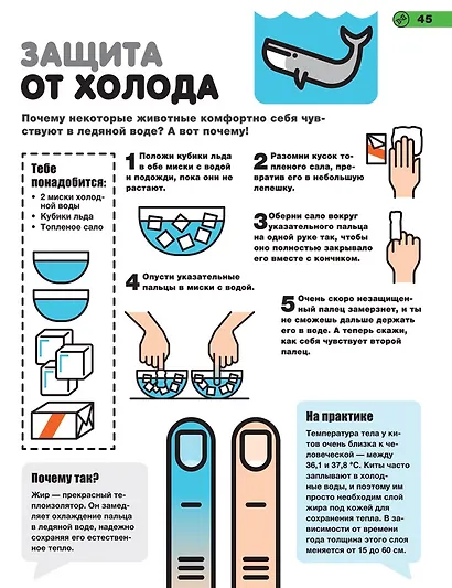 Простые эксперименты - фото 6