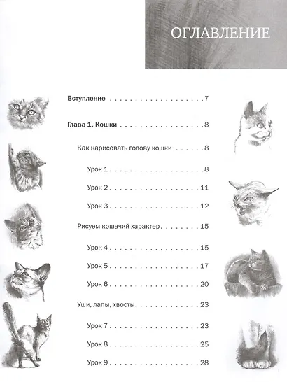 Пошаговые уроки рисования. Рисуем кошек и собак - фото 2