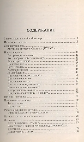 Английский сеттер - фото 2