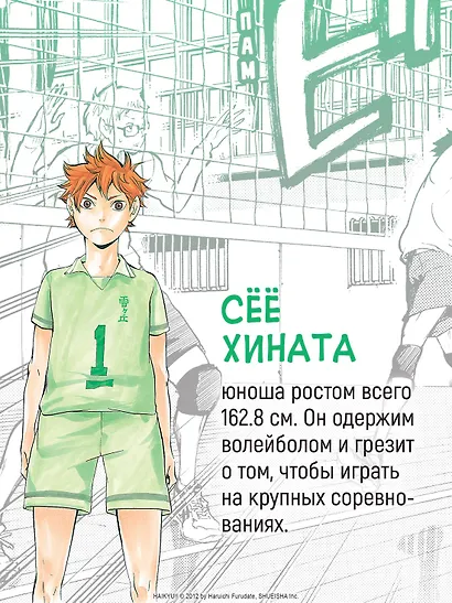 Волейбол! Том 1 - Хината и Кагэяма. Вид с высоты (Haikyuu!). Манга - фото 7