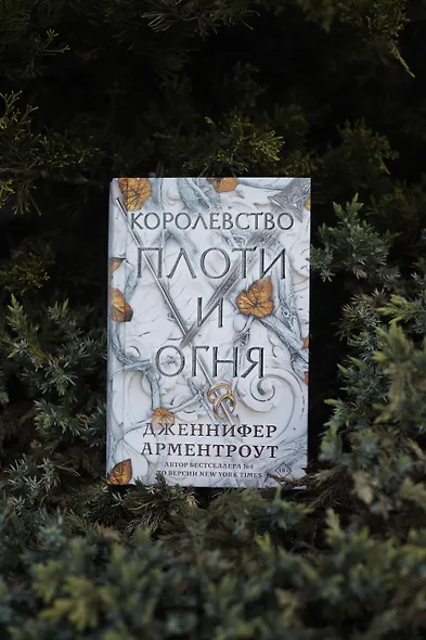 Королевство плоти и огня - фото 8