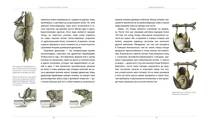 После человека. Зоология будущего - фото 6
