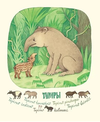 Невероятные носы - фото 7