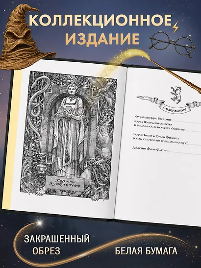 Гарри Поттер и Орден Феникса (Хуффльпуфф) - фото 5