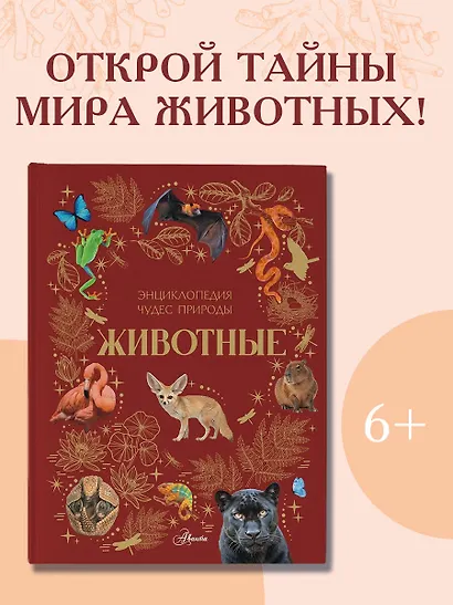 Животные - фото 4