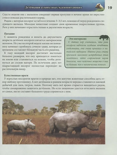 Детеныши животных. Энциклопедия - фото 4