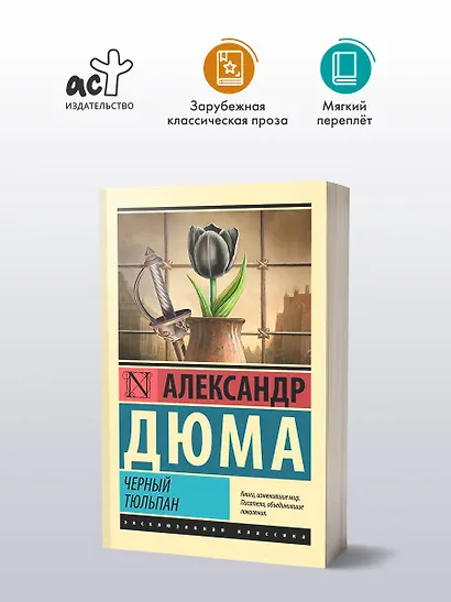 Черный тюльпан - фото 3