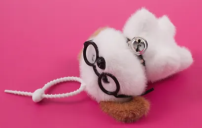 Брелок «Собачка белая в очках с коричневыми ушками», текстиль, 13 см - фото 5