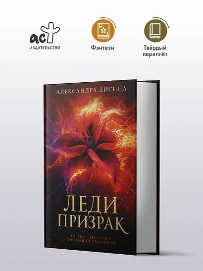 Леди-призрак: Вакансия для призрака, Призрак на задании - фото 4