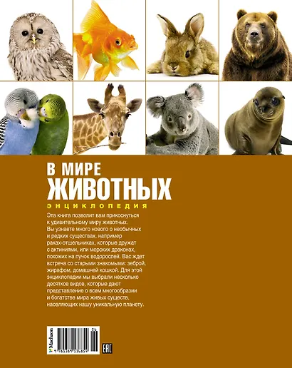 В мире животных - фото 2