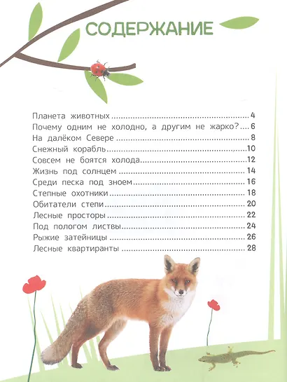 Животные. Энциклопедия для первого чтения с крупными буквами - фото 2