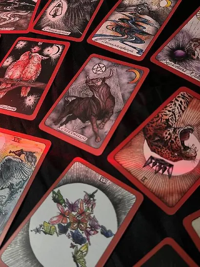 The Wild Magic Tarot. Таро Дикой магии - фото 12