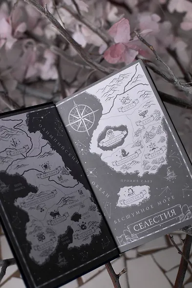 Небесные тела - фото 9