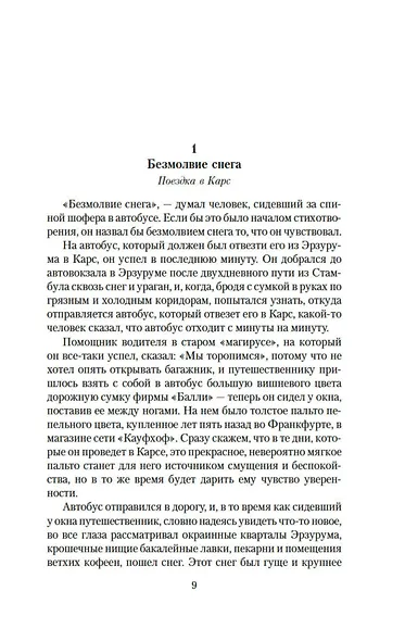 Снег - фото 9