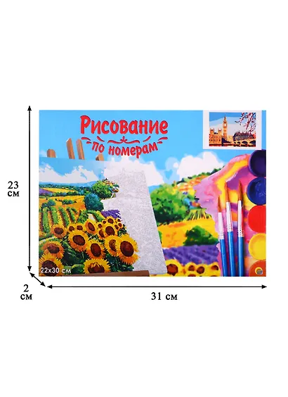 Набор для раскрашивания по номерам ТМ Рыжий Кот Холст с красками 22х30см Строгий Лондон (Арт. HS287) - фото 3