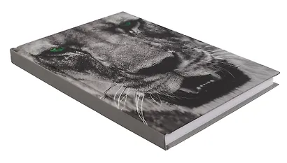 Ежедневник недат. А5 128л "Царь зверей" 7БЦ, ламинация soft touch, офсет - фото 2