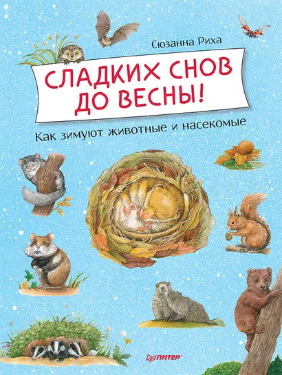 Сладких снов до весны! Как зимуют животные и насекомые - фото 1