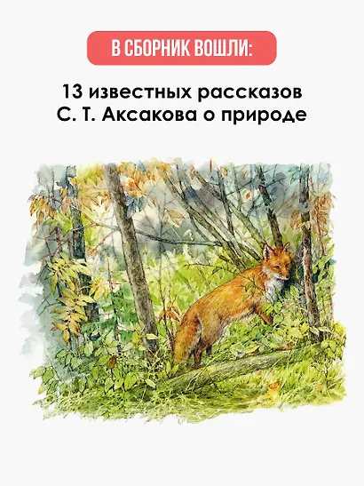 Рассказы о природе - фото 5