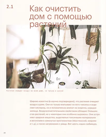 Окей, джунгли! Счастливая жизнь с растениями - фото 6