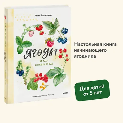 Ягоды. Атлас-определитель - фото 4