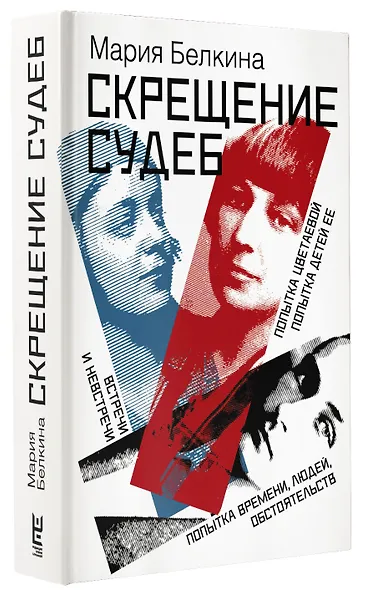 Скрещение судеб : Попытка Цветаевой. Попытка детей ее. Попытка времени, людей, обстоятельств. Встречи и невстречи - фото 3