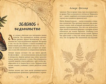 Гримуар зеленой магии. Заклинания, ритуалы и талисманы - фото 10
