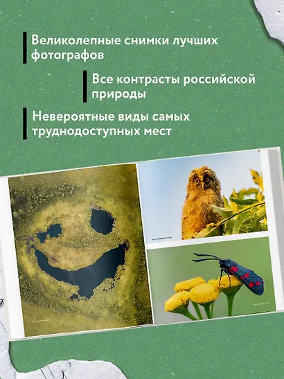 Неповторимая Россия. Природное наследие нашей страны в фотографиях путешественников Nature Photo Team - фото 4