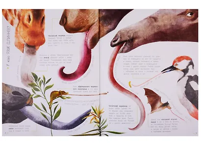 Животные в метрах и миллиметрах - фото 5