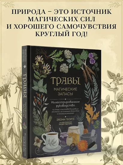 Травы. Магические запасы. Иллюстрированное руководство по сбору и заготовке волшебных растений, их полезным свойствам и сезонным ритуалам - фото 7