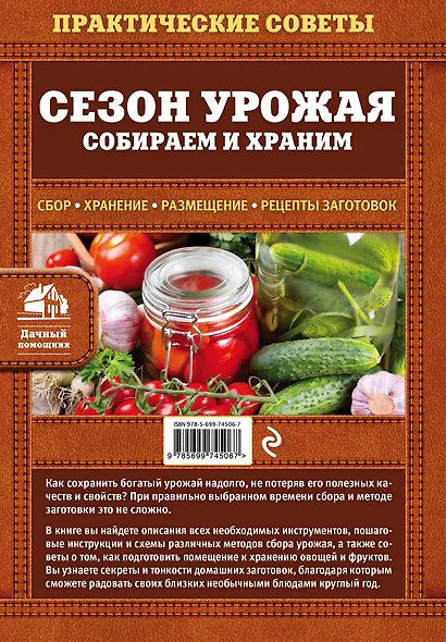 Сезон урожая. Собираем и храним - фото 2