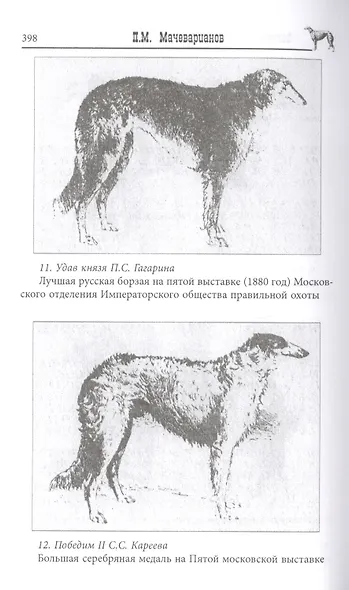 Записки псового охотника - фото 3