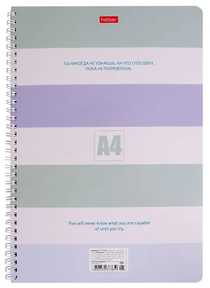 Тетрадь в клетку Hatber, "Полоски", А4, 80 листов, в ассортименте - фото 4