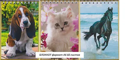 Блокнот, "Животные, Буквоед, А6, 60 листов, на спирали, в ассортименте - фото 1
