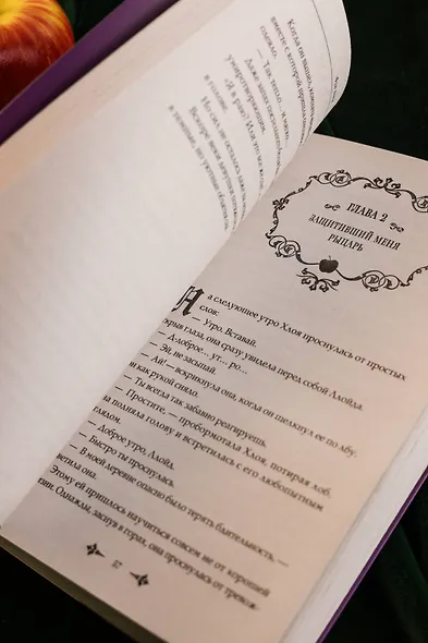 В целости и сохранности в объятиях элитного рыцаря. Книга 1 (Safe and Sound in the Arms of an Elite Knight). Ранобэ - фото 12