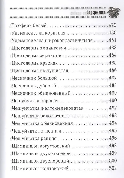 Грибная энциклопедия - фото 11