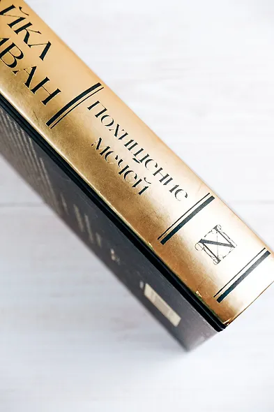 Похищение мечей - фото 10