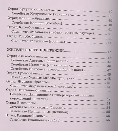 Птицы - фото 4