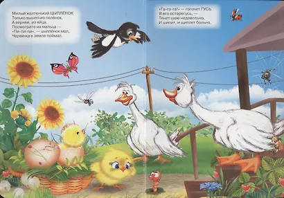 Это кто? (белка) - фото 2