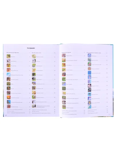 На Земле и в океане. Лабиринты - фото 2