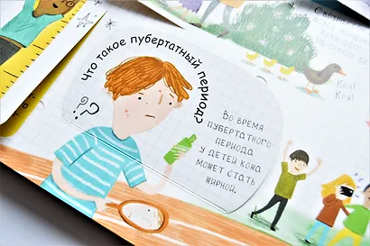 Вопросы и ответы. Я расту. Более 60 секретных створок - фото 3