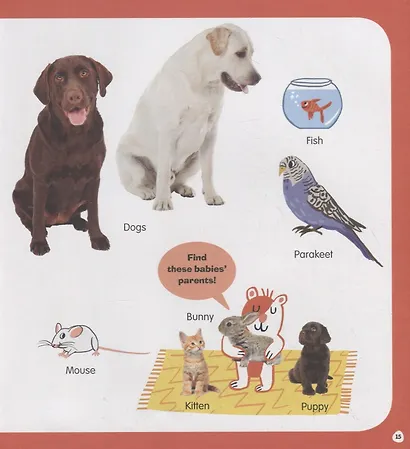 First Animals. Clever Encyclopedia. Over 500 Words To Learn - фото 5
