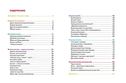 Кошки (ДЭР) - фото 3