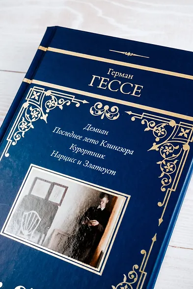 Демиан. Последнее лето Клингзора. Курортник. Нарцисс и Златоуст - фото 8