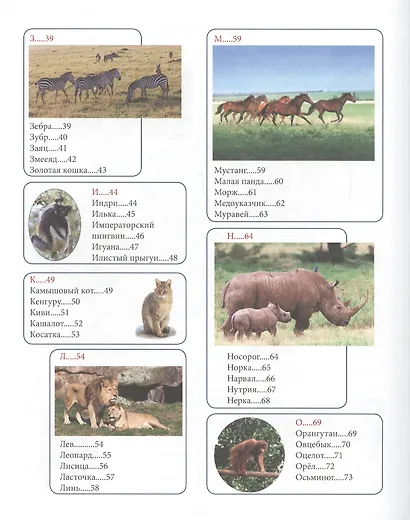 Животный мир от А до Я - фото 3
