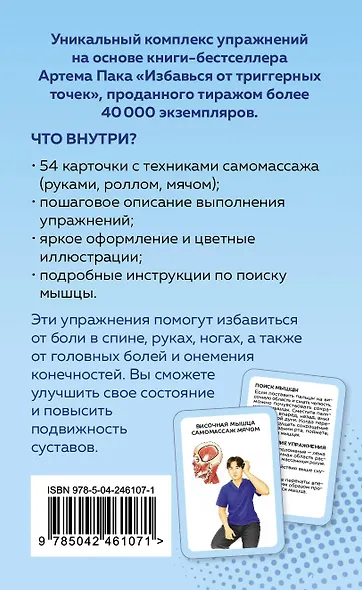 Избавься от триггерных точек. 54 карточки с упражнениями и описанием мышц - фото 2